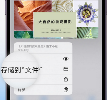 同仁apple维修中心分享iPhone文件应用中存储和找到下载文件