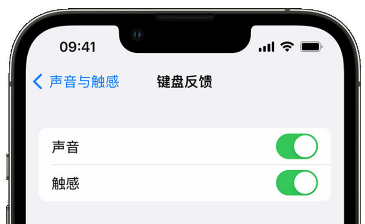 同仁苹果手机维修分享iPhone 14触感键盘使用方法 