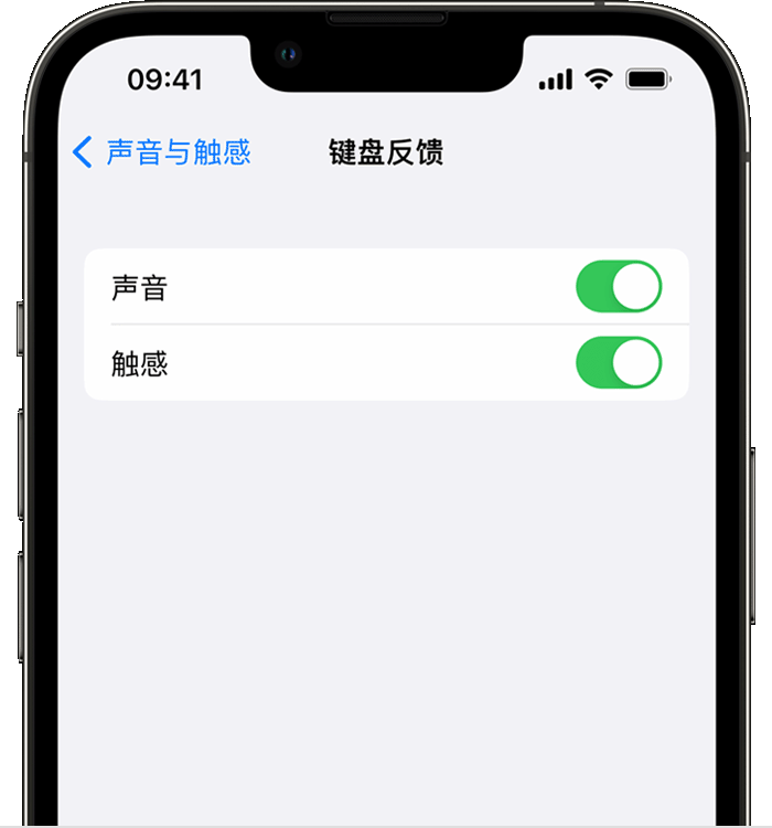 同仁苹果14维修店分享如何在 iPhone 14 机型中使用触感键盘 