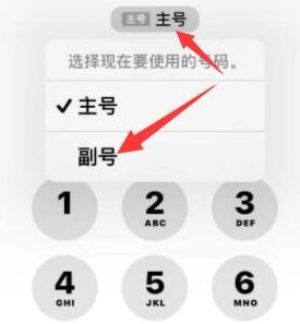 同仁苹果14维修店分享iPhone 14 Pro Max使用副卡打电话的方法 