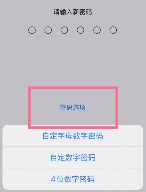 同仁苹果14维修分享iPhone 14plus设置密码的方法 