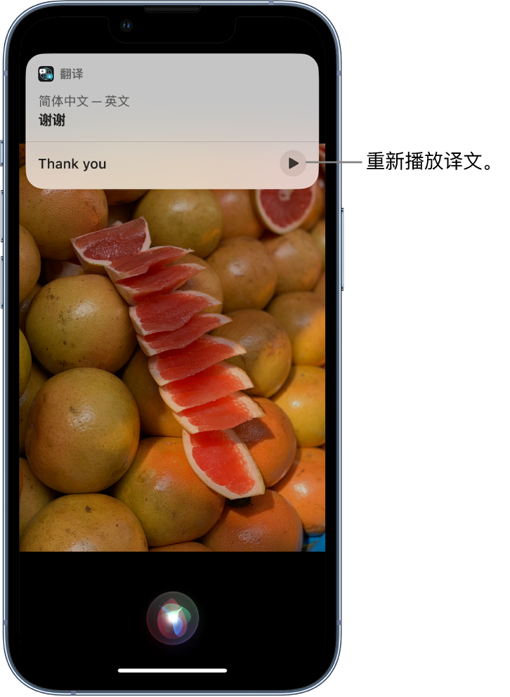 同仁苹果14维修分享 iPhone 14 机型中使用 Siri：了解 Siri 能帮你做什么 