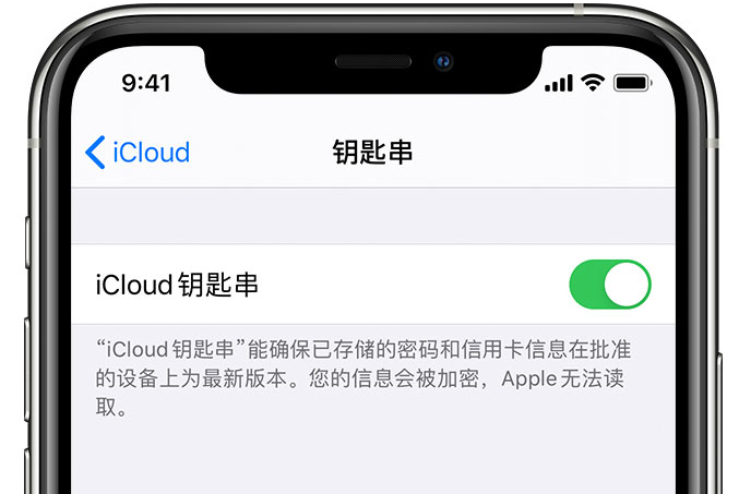 同仁苹果手机维修分享在 iPhone 上开启 iCloud 钥匙串之后会储存哪些信息 