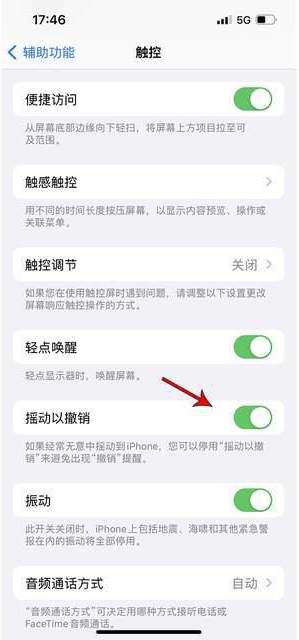 同仁苹果手机维修分享iPhone手机如何设置摇一摇删除文字 